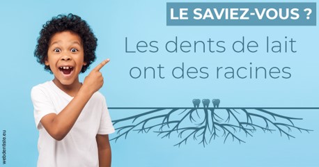 https://dr-bord-julien.chirurgiens-dentistes.fr/Les dents de lait 2