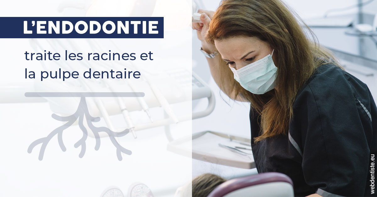 https://dr-bord-julien.chirurgiens-dentistes.fr/L'endodontie 1