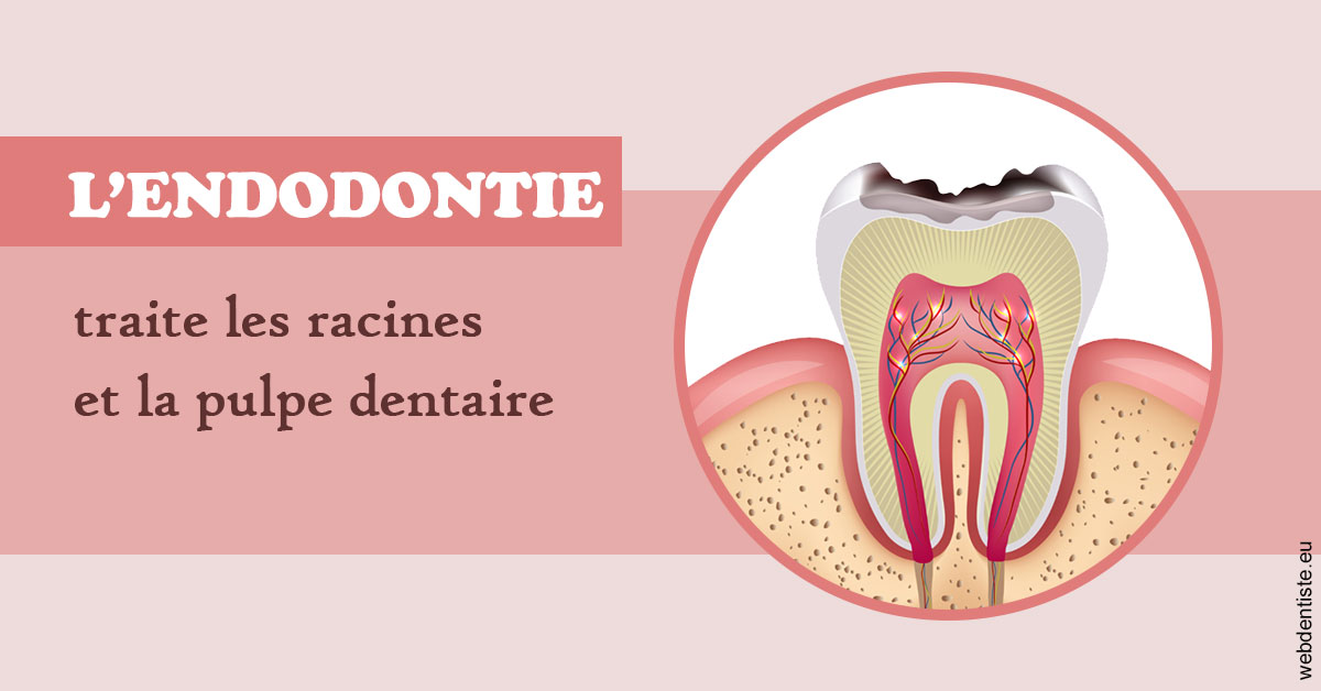 https://dr-bord-julien.chirurgiens-dentistes.fr/L'endodontie 2