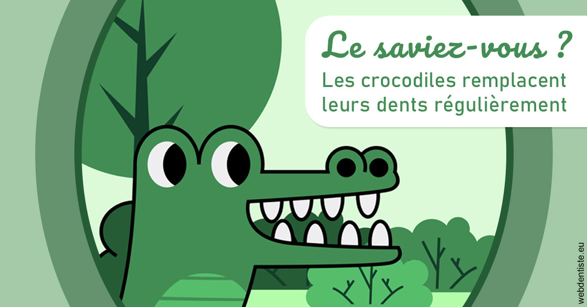 https://dr-bord-julien.chirurgiens-dentistes.fr/Crocodiles 2
